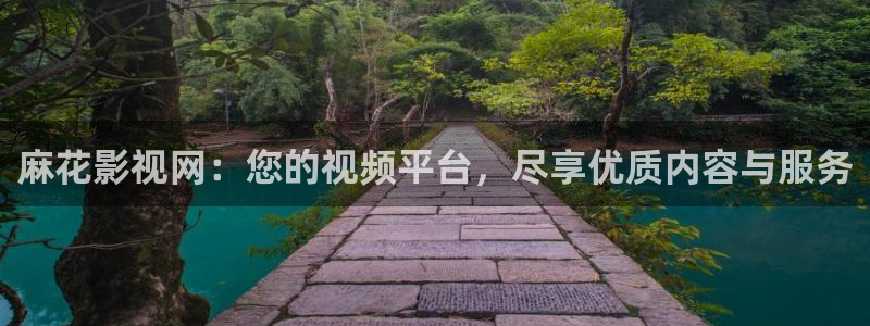 手机光棍电影院：麻花影视网：您的视频平台，尽享优质内容与服务