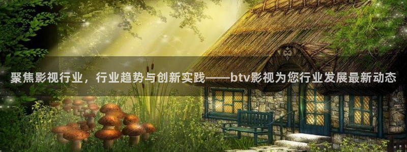 神马影院午夜光棍影院：聚焦影视行业，行业趋势与创新实践——btv影视为您行业发展最新动态