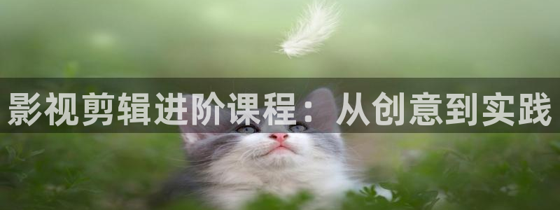 天堂光棍影院：影视剪辑进阶课程：从创意到实践
