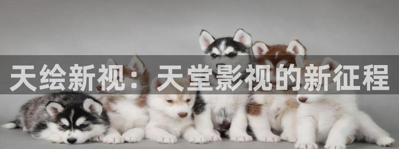 光棍影院手机伦理：天绘新视：天堂影视的新征程