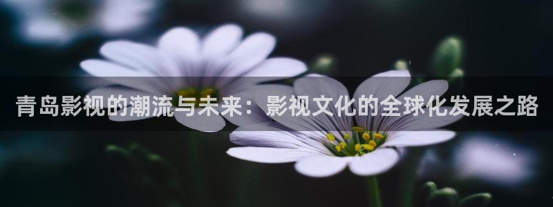 www.光棍影院,com：青岛影视的潮流与未来：影视文化的全球化发展之路