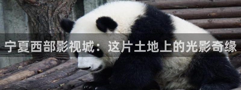 光棍影院y11：宁夏西部影视城：这片土地上的光影奇缘