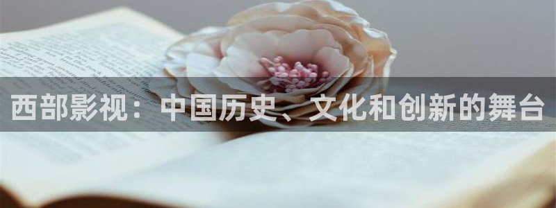 光棍电影,光棍影院,光棍天堂：西部影视：中国历史、文化和创新的舞台