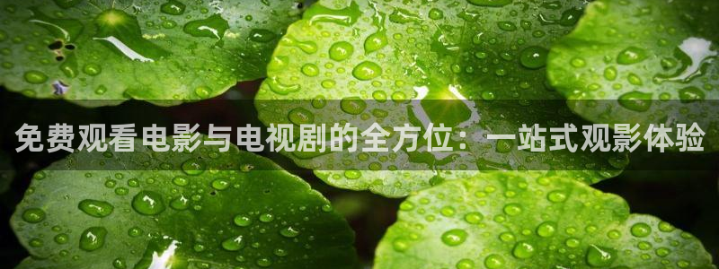 光棍yy影院：免费观看电影与电视剧的全方位：一站式观影体验