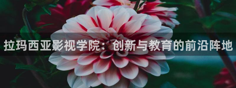 光棍影院111111111：拉玛西亚影视学院：创新与教育的前沿阵地