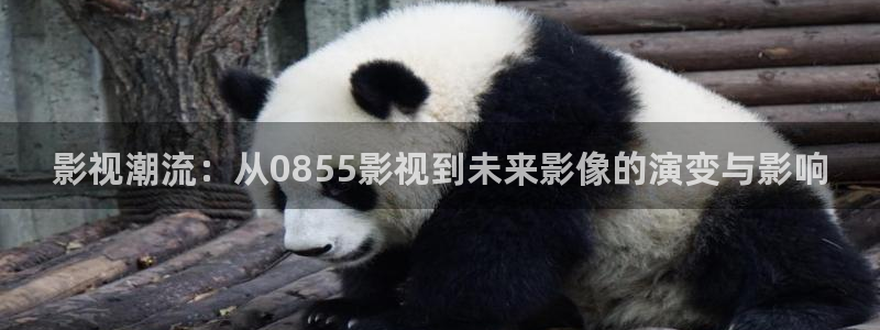 yy11111光棍影院在线观看：影视潮流：从0855影视到未来影像的演变与影响